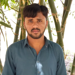 Niaz Hussain-Freelancer in muzafargarh,Pakistan