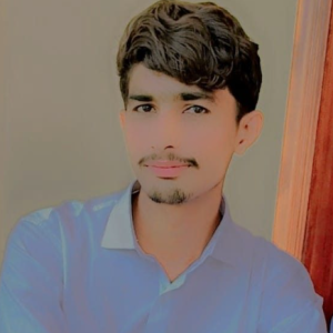 Malik Irfan-Freelancer in Multan,Pakistan