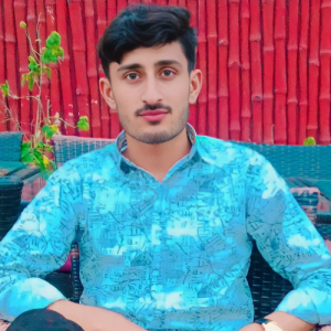 Hassan Iqbal-Freelancer in Lahore,Pakistan