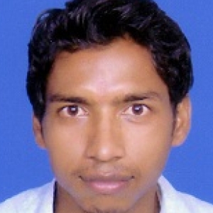 Robin Mahto-Freelancer in Noida,India
