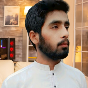Muhammad ismail-Freelancer in khushab,Pakistan