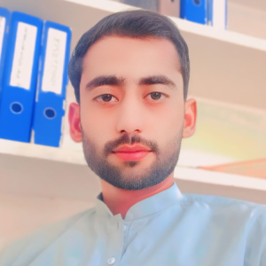 Muhammad Amir Shahzad-Freelancer in Bahawalpur Punjab,Pakistan