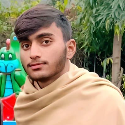 Jaani-Freelancer in SHAKARGARH,Pakistan