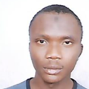 Auwal Sani-Freelancer in Kaduna,Nigeria
