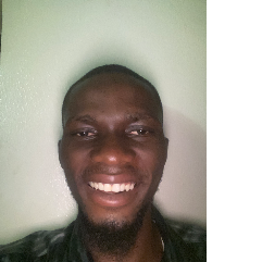 Adesoji Ibitoye-Freelancer in Abuja,Nigeria
