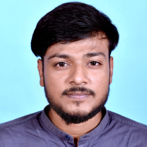 Nasir Shamim-Freelancer in Jamshedpur,India