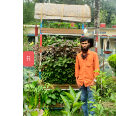 Md Nogmud Shahadot-Freelancer in Rangpur,Bangladesh