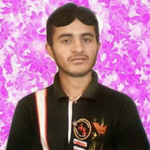Taimur Hussain-Freelancer in ,Pakistan