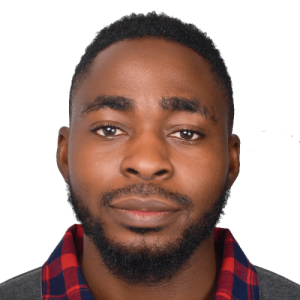 Rotimi Akinwehinmi-Freelancer in Lagos,Nigeria