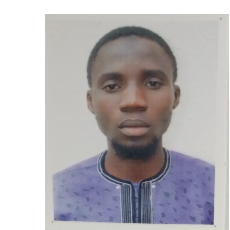 Hassan Mohammed Ibrahim-Freelancer in KWARA,Nigeria