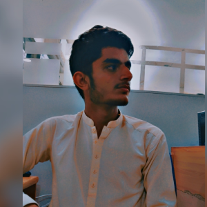 Shahzaib Aarin-Freelancer in Karachi City,Pakistan