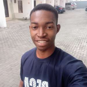 Chieloka Madubugwu-Freelancer in Lagos,Nigeria