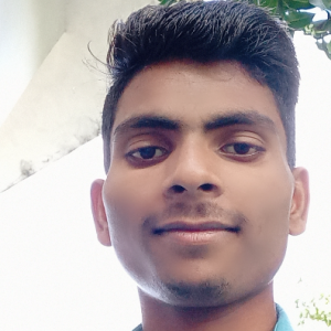 Sushil Kumar-Freelancer in Lucknow,India