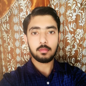 Muhammad Ahmad-Freelancer in Rahim Yar khan,Pakistan