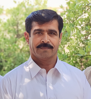 Sajjad Freelancing-Freelancer in Taunsa Sharif,Pakistan