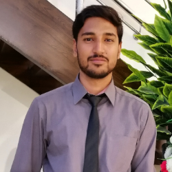 Hassan Anees-Freelancer in Islamabad,Pakistan