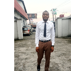 Osuo Okotuini Ellison-Freelancer in Port Harcourt,Nigeria