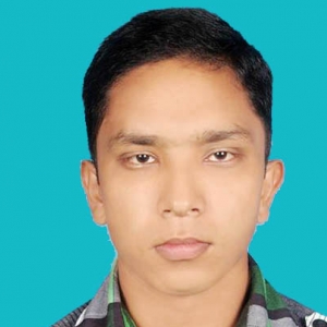 Mahmudul Hasan-Freelancer in dhaka,Bangladesh