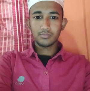 Md Mostakim Islam-Freelancer in Rangpur City,Bangladesh