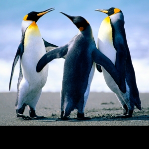 Ruth Kuria-Freelancer in Nairobi,Kenya