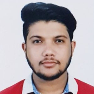 Fazil Hussain-Freelancer in Bareilly,India