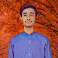 Ali Raza-Freelancer in Sukkur,Pakistan