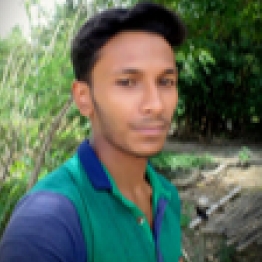 A H M Waliuzzaman-Freelancer in Khetlal,Bangladesh