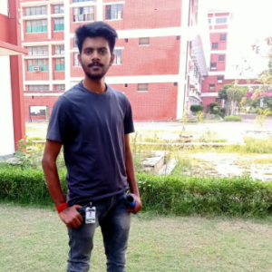 Sumit Roy-Freelancer in Noida,India