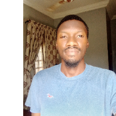 Abubakar Suleiman-Freelancer in Kaduna,Nigeria