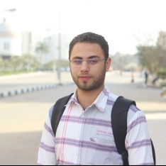 Mostafa Sholkany-Freelancer in cairo,Egypt