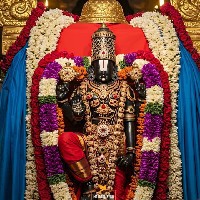 Sarvasiddi Kusuma-Freelancer in yelamanchili, anakapalli, andhrapradesh, India,India