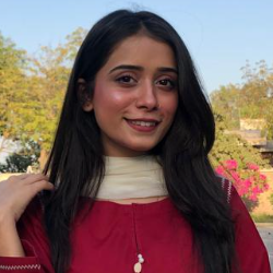 Mehak Fiza - Content writer - Freelancer from Jamshoro, Pakistan