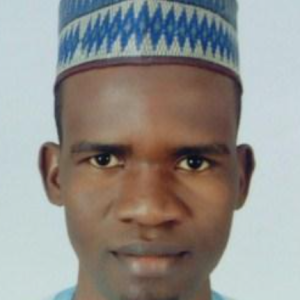 Hamza Aliyu-Freelancer in Bauchi,Nigeria