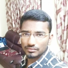 Praveen Raaj-Freelancer in ,India