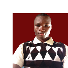 Fatoye Samson Oluwasegun-Freelancer in Ejigbo,Nigeria