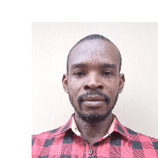 Somto R. Anaeto-Freelancer in Lagos,Nigeria