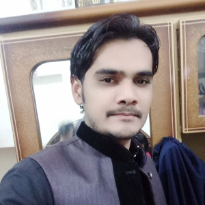 Muhammad Bilal-Freelancer in Haveli Lakha,Pakistan