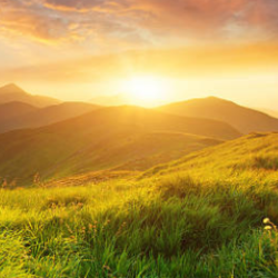 Thendral-Freelancer in Chennai,India