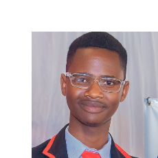 Tinashe Tshabalala-Freelancer in Harare,Zimbabwe