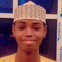 Mahmud Sabo-Freelancer in Bauchi,Nigeria