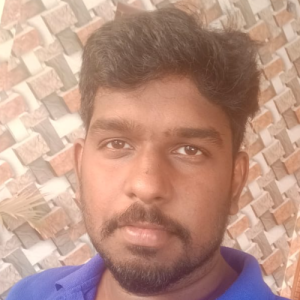 Vijayarajan-Freelancer in chennai,India