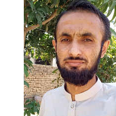 Muhammad Mohsin-Freelancer in Liaquatpur,Pakistan