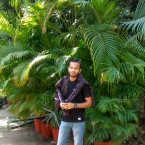 Dibyanshu Kumar-Freelancer in Noida,India