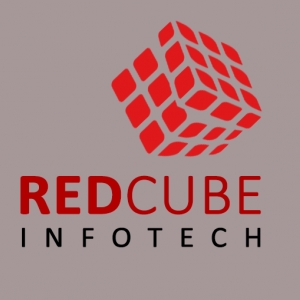 Red Cube Infotech-Freelancer in Noida,India