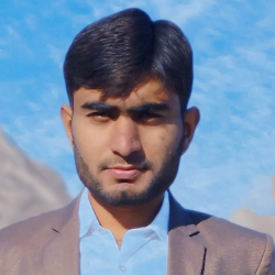 Muhammad Abbas-Freelancer in Bahawalpur,Pakistan