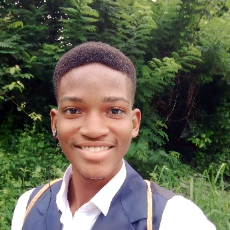 David Ogungbemi-Freelancer in Ibadan,Nigeria
