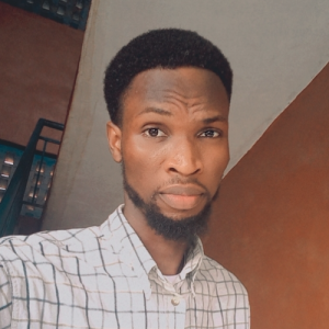 David Ajibola-Freelancer in ,Nigeria