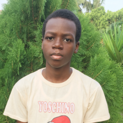 Israel Olawuyi-Freelancer in Ibadan,Nigeria