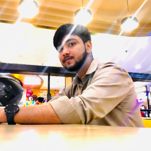 Arshad Rajput-Freelancer in Delhi,India