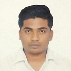 Avinash Bavidoddy-Freelancer in Hospet,India
